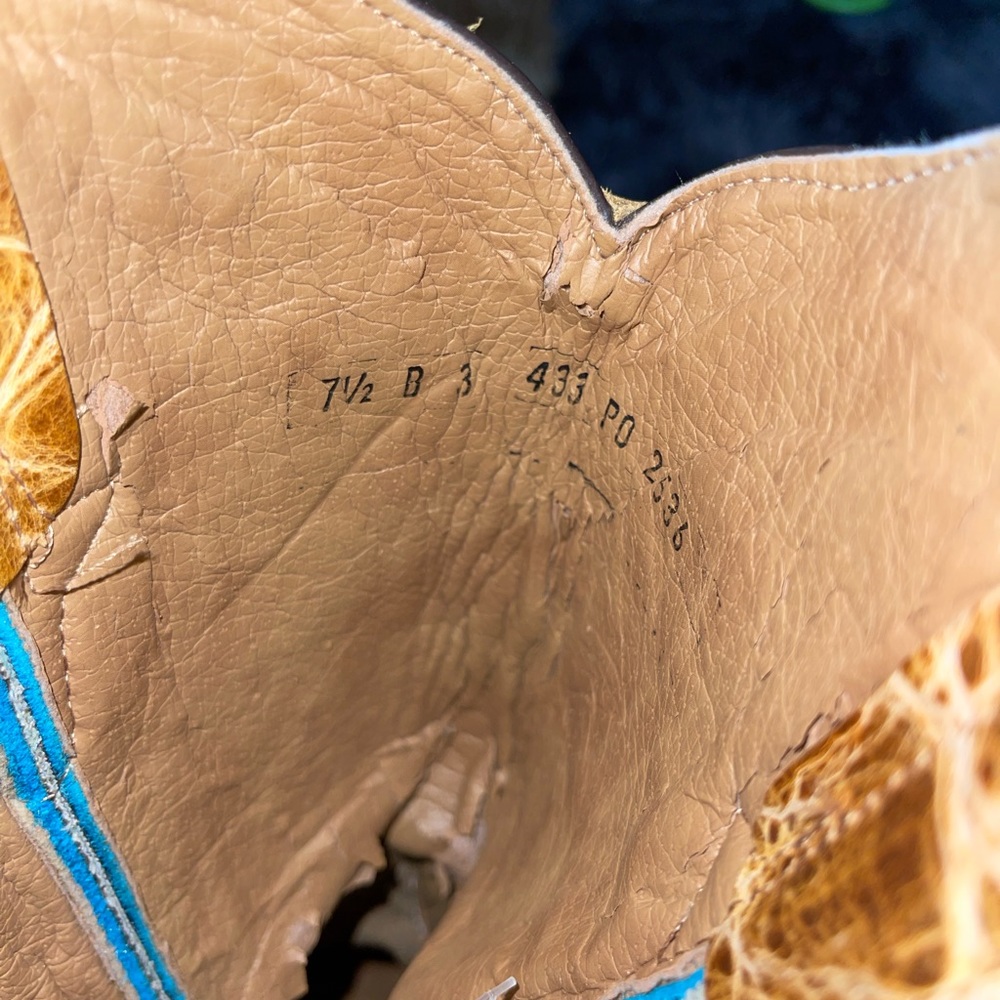 Ferrini pointed toe boots